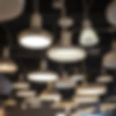 Variety of plug-in ceiling light styles on display