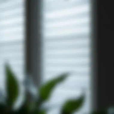 Energy Efficiency in Cellular Blinds Close-up of cellular blinds showcasing energy-efficient materials