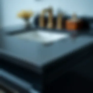 Material Highlights of Black Vanities Detailed view of materials used in a black vanity