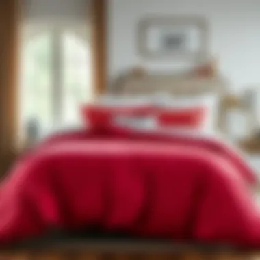 Comforter set with vibrant colors enhancing home decor