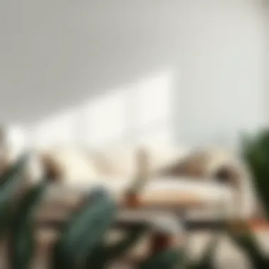 Embracing Minimalism with Comfort Cozy small couch with decorative cushions in a minimalist room