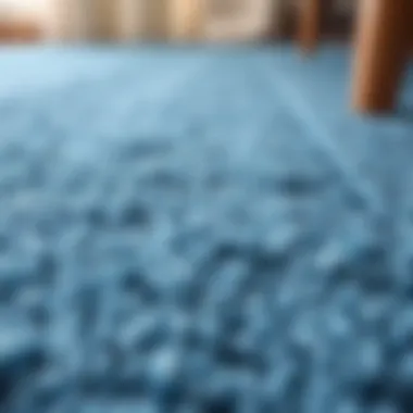 Close-up of a textured solid blue rug