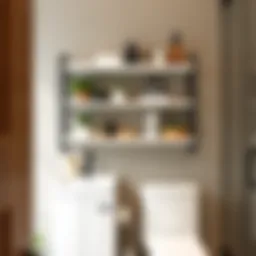 Stylish bathroom shelf arrangement above a toilet