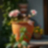 Elegant terracotta garden pot with blooming flowers