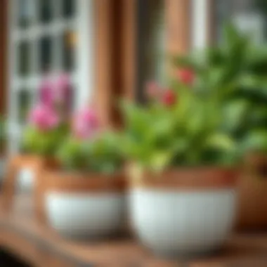 Modern ceramic planter with vibrant greenery