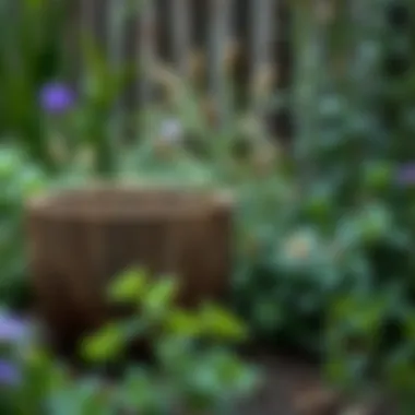 Rustic wooden pot surrounded by a lush garden