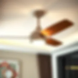 Elegant design of a modern 2 blade ceiling fan with light