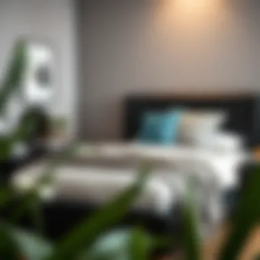 Chic Styling of Black Twin Bed with Accessories Black twin bed styled with decorative pillows and throws