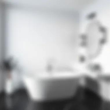 Minimalist black and white bathroom showcasing a freestanding tub