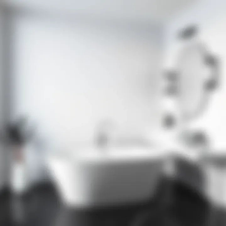 Minimalist black and white bathroom showcasing a freestanding tub