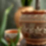 A close-up of a beautifully crafted clay pot showcasing intricate designs