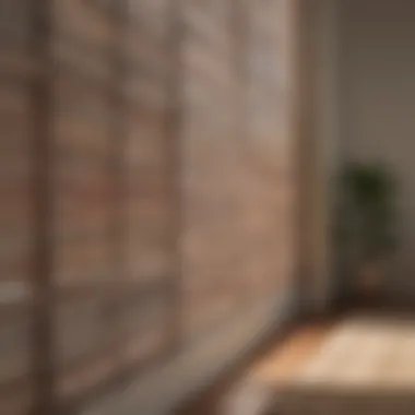 Diverse Textures and Colors of 64 Wide Blinds Aesthetic arrangement of 64 wide blinds showcasing various colors and textures