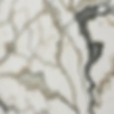 Intricate Texture of Marble Laminate Sheets Close-up view showcasing the texture of marble laminate sheets