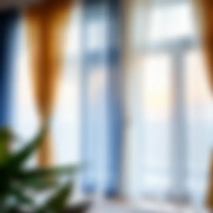 Diverse Styles of Net Curtains Different styles of net curtains displayed for patio doors