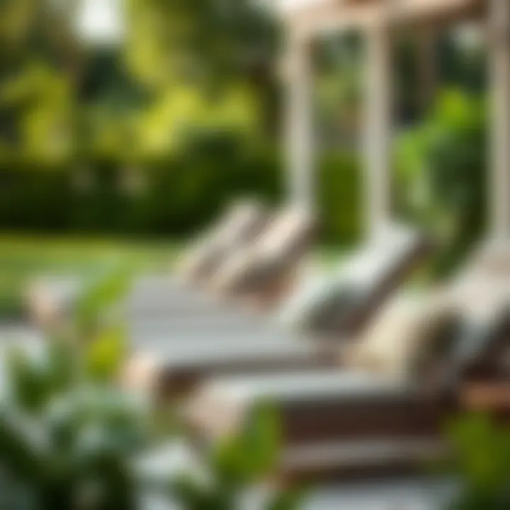 Diverse Styles of Lounge Chairs A variety of patio lounge chair styles showcasing different materials