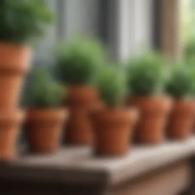 Assorted small garden pots made of terracotta