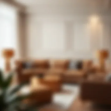 Elegant Living Room Setup Elegant small leather corner sofa in a stylish living room setup