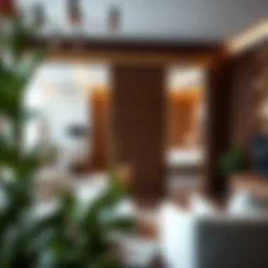 Elegant 48 inch sliding door in a modern living room