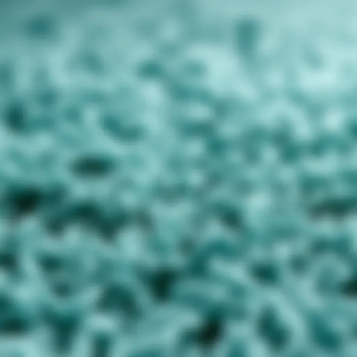 The Inviting Texture of Blue Green Shag Rugs Close-up of soft texture of a blue green shag rug