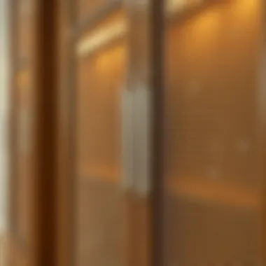 Intricate Mesh Patterns Enhancing Cabinet Design Close-up of intricate mesh patterns on cabinet doors