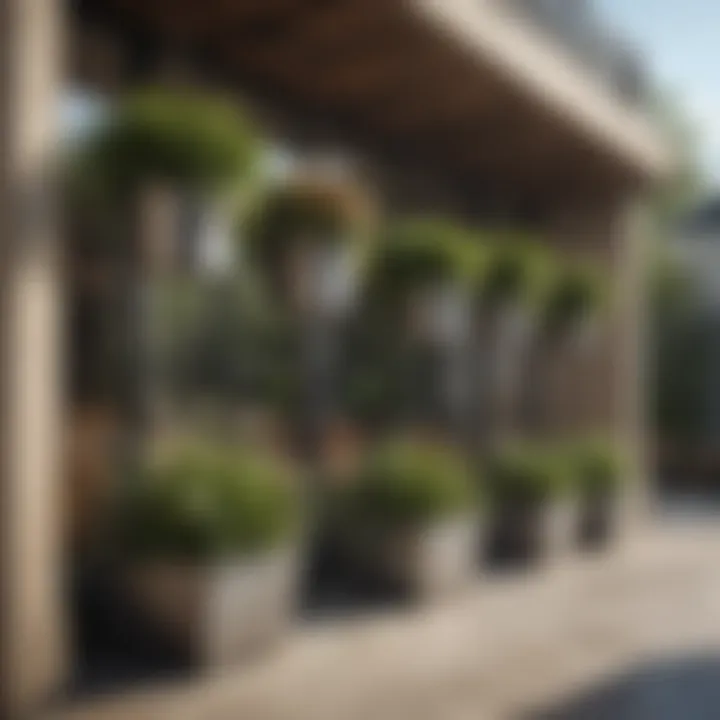 A beautifully landscaped outdoor area highlighted by hanging metal planter boxes.