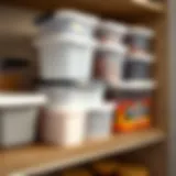 Tall Sterilite containers organized on a shelf