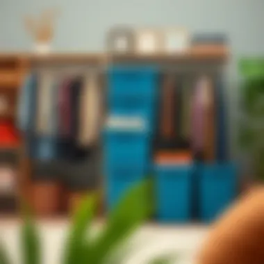 Seasonal Clothing Storage Solutions Large storage bins used for seasonal clothing organization