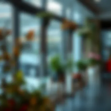 Innovative designs of garden stands suitable for various plant sizes.