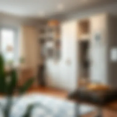 Effortless Assembly of Pre-Fab Closets Efficient assembly of pre-fab closets demonstrating easy setup