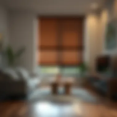 Energy-efficient home with thermal insulation from blackout blinds.