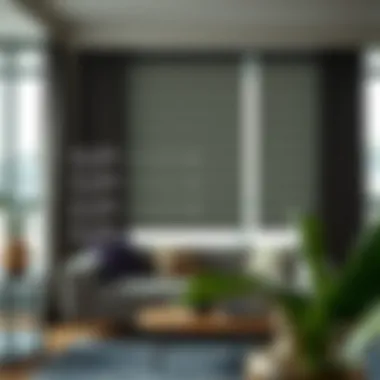 Diagram showing light control capabilities of blackout blinds.