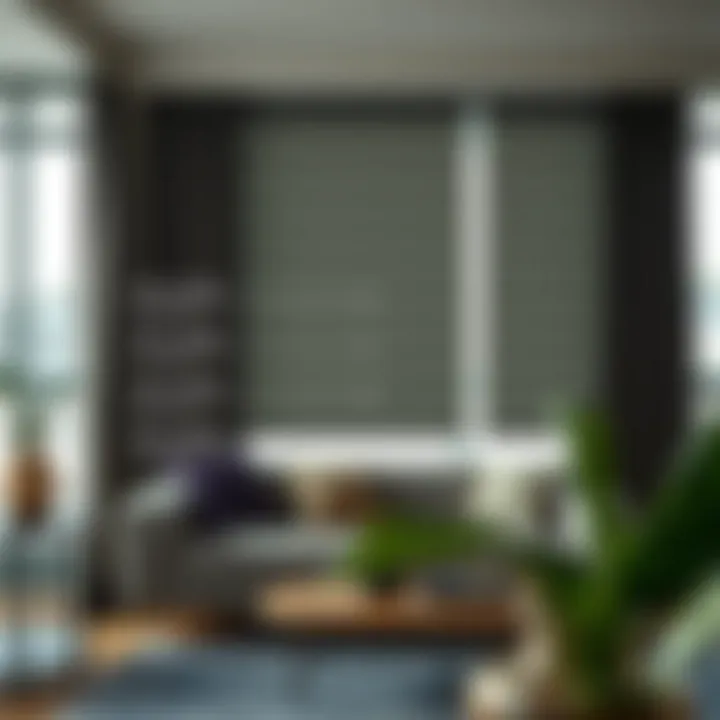 Diagram showing light control capabilities of blackout blinds.